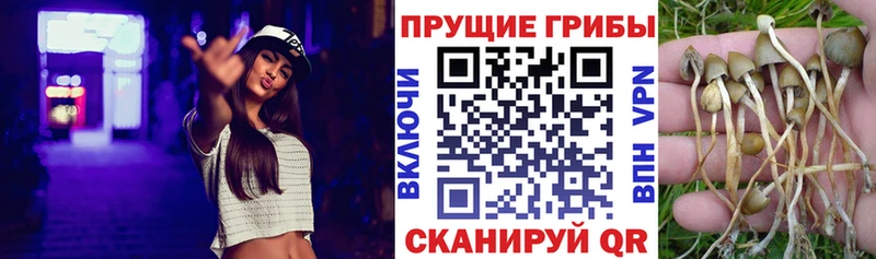 сколько стоит  это клад  Галлюциногенные грибы прущие грибы  Лодейное Поле  МЕГА рабочий сайт 